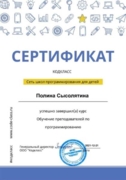 Сертификат преподавателя программирования