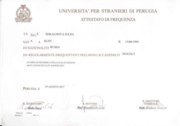 Universita per Stranieri di Perugia - livello C2 (avanzato)