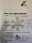 Диплом по немецкому языку DSD 1
