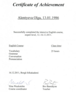 Сертификат, подтверждающий уровень владения английским языком на уровне "Эксперт". Выдан Borga Folkakademi
