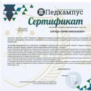 Сертификат по шахматам