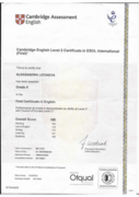 Международный кембриджский сертификат, уровень владения английским языком С1