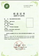 Сертификат о прохождении языковой китайской стажировки