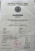 Сертификат владения чешским языком уровень В2
