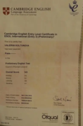 Cambridge English Certificate