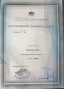 Международный сертификат знания греческого языка высшего уровня (2015 г.)