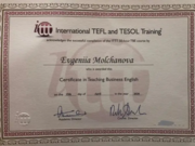 TBE Certificate in Teaching Business English