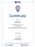 Сертификат. Курс от British Council