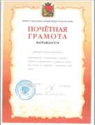 Почетная грамота  от комитета образования города Воронежа за успешную работу по воспитанию учащихся, 2003 год