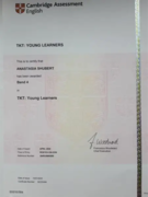 TKT сертификат по методике преподавания детям 6-12 лет