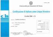 Университет Сиены (Италия)  CILS C1