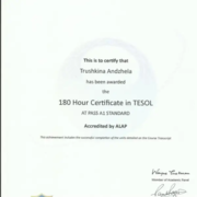 Международный сертификат TESOL 180