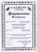 Сертификат об окончании языковых курсов - 6 уровень; С1; Advanced