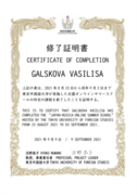 Сертификат о прохождении Летней школы онлайн на японском в Токийском университете международных исследований
