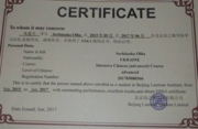 Диплом частной школы Lanmate г. Пекин