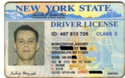 Водительское удостоверение штата Нью-Йорк