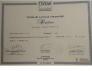 Документ о прохождении 4-недельной стажировки в центре CAVILAM (Виши, Франция)