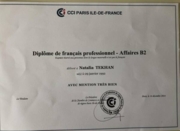 Диплом французского образца