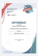 Сертификат участника Образовательного Марафона