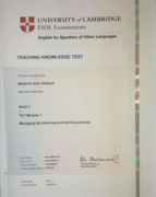 Сертификат о сдаче международного экзамена по методике преподавания иностранного языка TKT