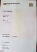 Cambridge Certificate_TKT:YL