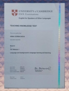Международный методический сертификат TKT модуль 1(высший балл)