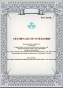 Сертификат о прохождении стажировки в Испании 2018 год
