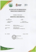 Сертификат о прохождении стажировки в Италии