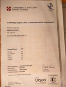 Сертификат CAE (С1)