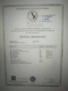 School certificate