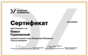 Сертификат о прохождении курса по новейшей истории России "Открытого Университета"