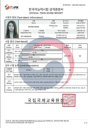 Сертификат TOPIK (Test of Proficiency in Korean), 6 уровень (2021 г.)