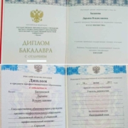 Два красных диплома