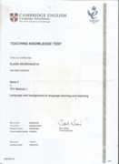 Сертификат TKT1