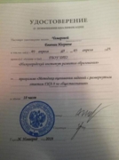 Сертификат эксперта ГИА-9