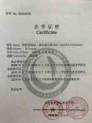 Сертификат об обучении в Китае г. Шеньян