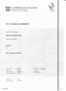 Сертификат. TKT Young Learners Band 4 / Сертификат Кембриджского университета, подтверждающий высокие компетенции преподавания детям 6-12 лет
