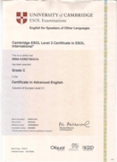 Сертификат САЕ - март-2010