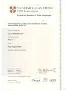 Сертификат Cambridge ESOL Entry Level Certificate in ESOL International(Entry 2)2012 г