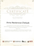Сертификат конференции "Непрерывность обучения английскому языку в системе "Школа-ВУЗ"