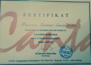 Сертификат об участии в мастер-классе  по вокалу. Февраль, 2013г.