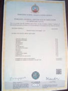 O level Certificate