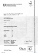 CAE Certificate in Advanced English
