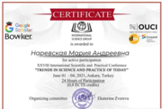Сертификат конференции в Турции (Немецкий)