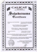Сертификат об окончании языковых курсов - 5 уровень; B2; Upper-Intermediate