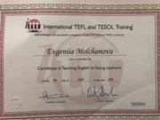 TYL  Certificate in Teaching English to Young Learners