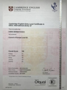 "Кембриджский сертификат", подтверждающий знание английского языка на уровне B1 за 2016 год (сейчас значительно выше)