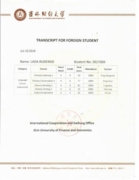 Сертификат о прохождении дополнительных (годовых) языковых курсов в Китае