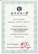 Сертификат о прохождении языковых курсов в городе Ухань