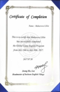 Сертификат о прохождении курса английского языка в Корее